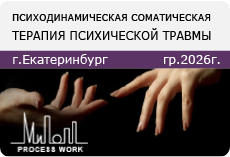 Семинар 3.Трансформационная работа с чувствами. Деконтекстуализация через работу с метафорой. Динамика сцепления, диссоциация
