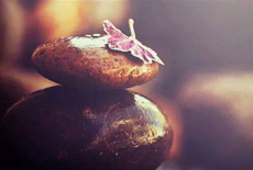 Hidden Structures and Natural Flow in Relationships
