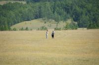 DSC00653_1